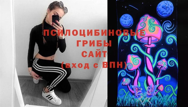 винт Липки